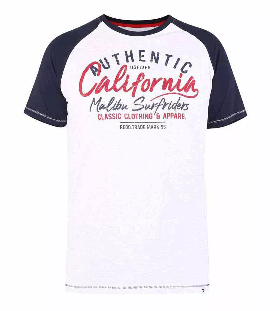 D555 Big Mens California Surf Printed T-Shirt With Raglan Sleeves (SPARROW)