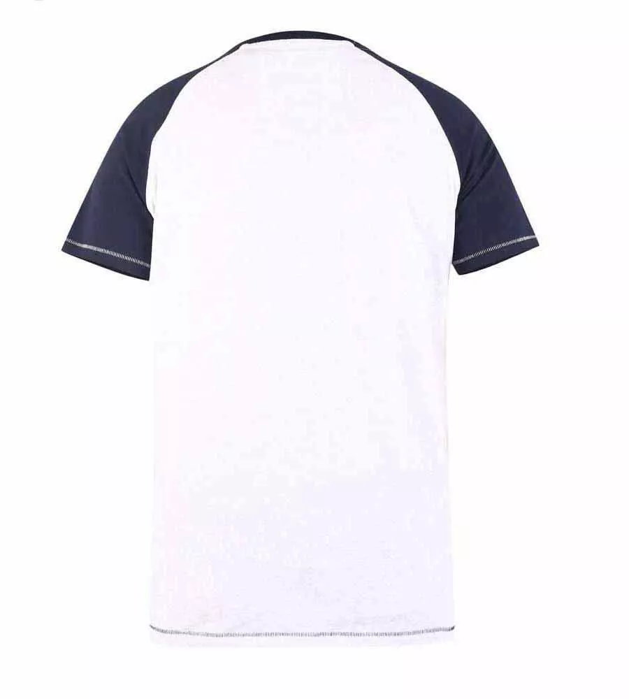 D555 Big Mens California Surf Printed T-Shirt With Raglan Sleeves (SPARROW)