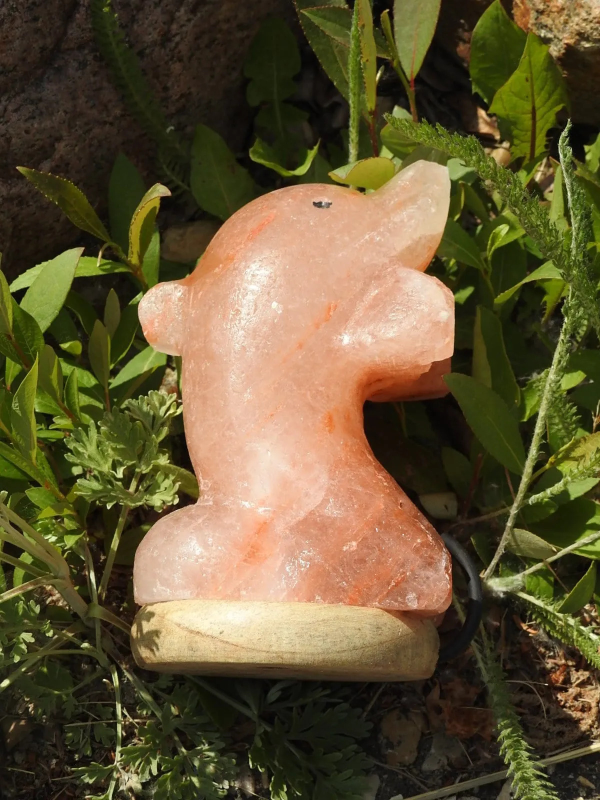 Dolphin Himalayan Salt Lamp (Color Changing USB)