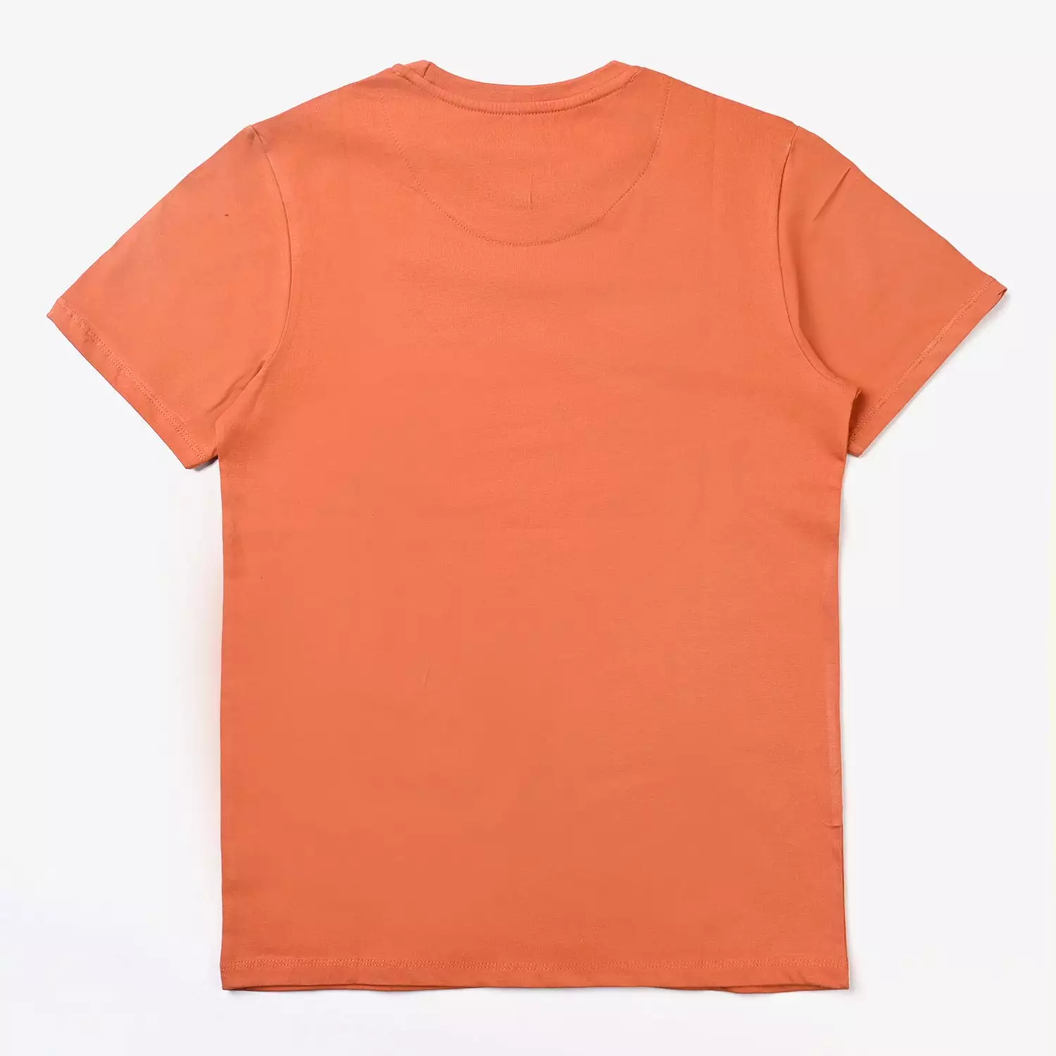 Teens Boys Cotton Jersey T-Shirt Montana Hike - Rust