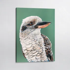 Tucker the Kookaburra Canvas Print