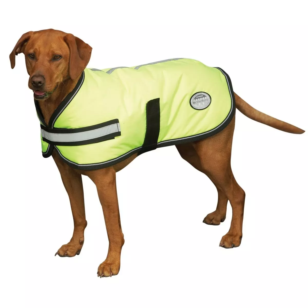 Weatherbeeta Reflective Parka 300d Dog Coat 